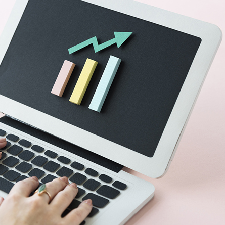 Organically Raise Your SEO